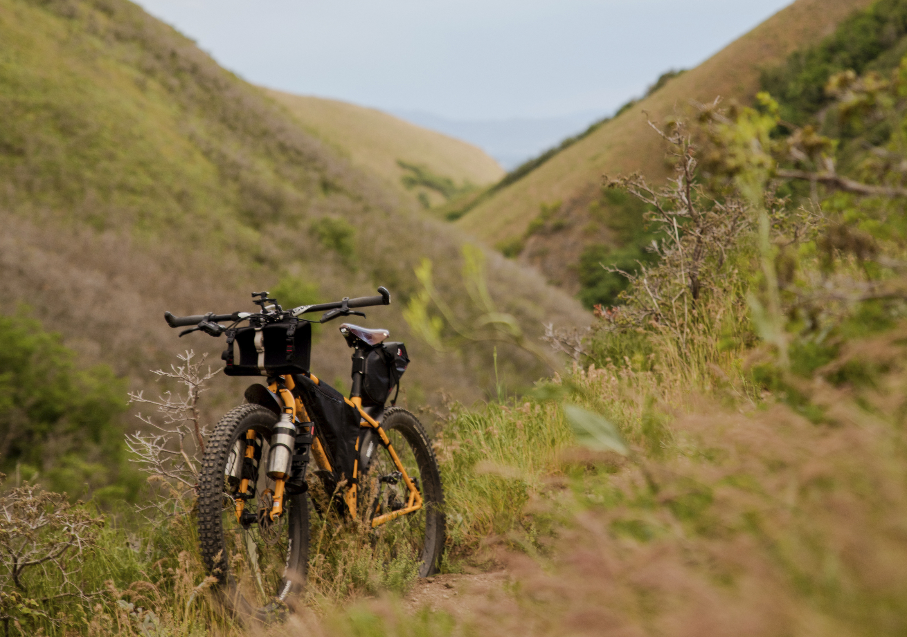 Vem aí a “Pedalada Internacional da Natureza” Vem aí a “Pedalada Internacional da Natureza”